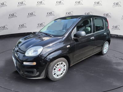 Fiat Panda Cross Cross 1.0 FireFly S&S Hybrid usata