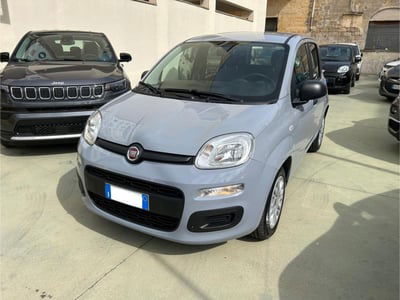 Fiat Panda Cross Cross 1.0 FireFly S&S Hybrid usata