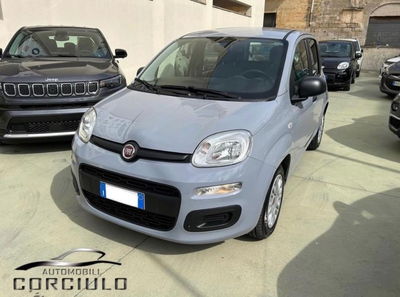Fiat Panda 1.0 firefly hybrid s&s 70cv 5p.ti usata