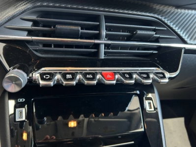 Peugeot 208 BlueHDi 100 Stop&Start 5 porte Allure (16)