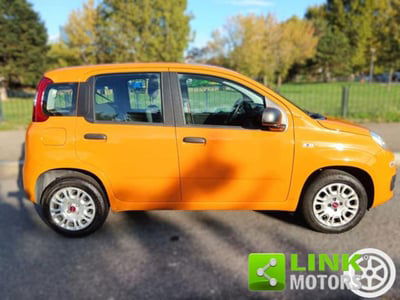 Fiat Panda 1.2 Easy usata