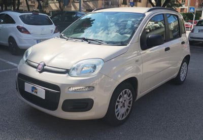 Fiat Panda 1.2 Easy usata
