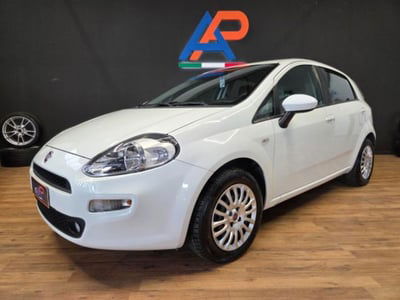 Fiat Punto 1.2 8V 5 porte Lounge usata