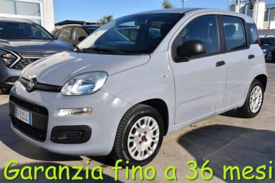 Fiat Panda 1.2 Easy usata