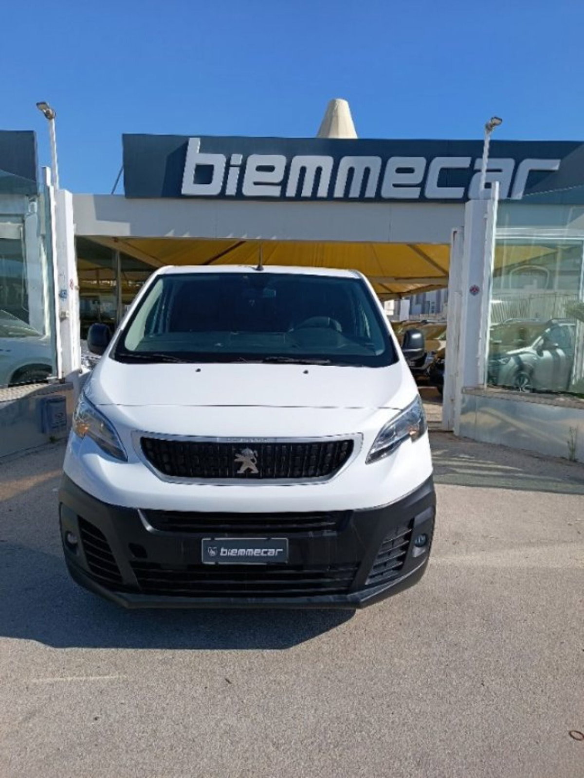 Peugeot Expert Furgone BlueHDi 100 S&S PL-TN Furgone Premium Standard (3)