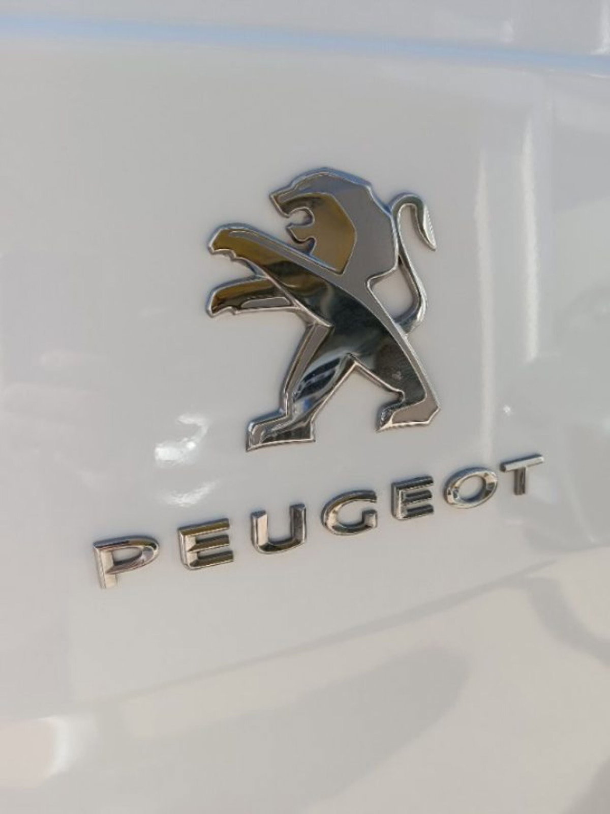 Peugeot Expert Furgone BlueHDi 100 S&S PL-TN Furgone Premium Standard (7)