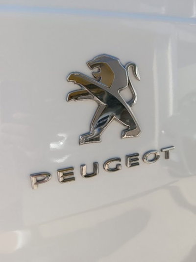 Peugeot Expert Furgone BlueHDi 100 S&S PL-TN Furgone Premium Standard (7)