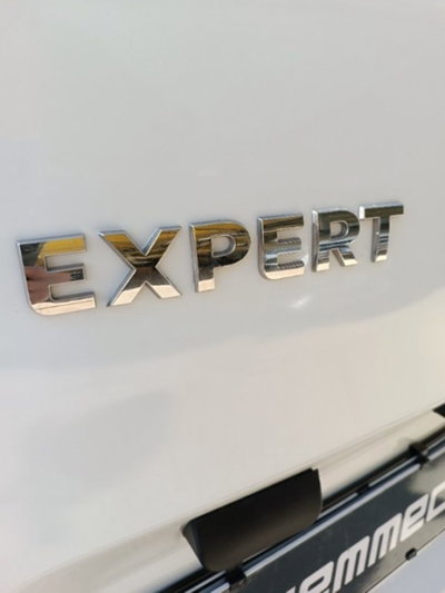 Peugeot Expert Furgone BlueHDi 100 S&S PL-TN Furgone Premium Standard (8)