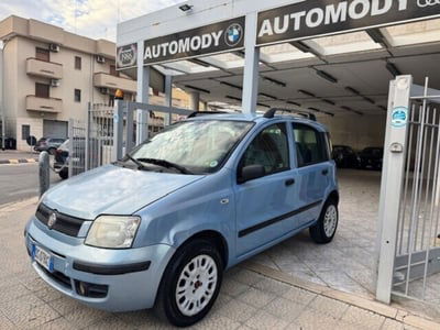 Fiat Panda 1.2 Dynamic usata