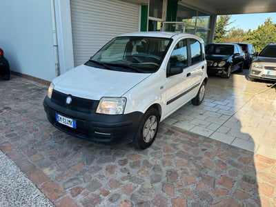 Fiat Panda 1.1 Actual usata