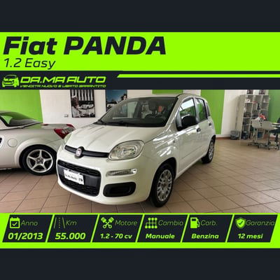 Fiat Panda 1.2 Easy usata