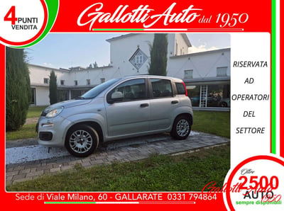 Fiat Panda 1.2 Easy usata