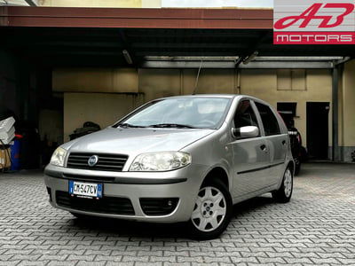 Fiat Punto 1.2 5 porte Active usata