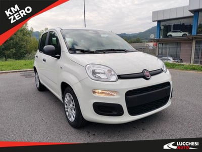 Fiat Panda 1.0 FireFly S&S Hybrid City Cross nuova