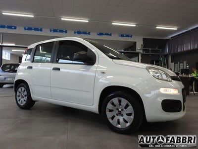 Fiat Panda 1.2 Easy usata