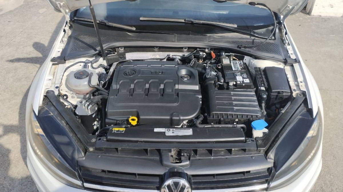 Volkswagen Golf Variant 1.6 TDI 110 CV DSG Highline BMT (19)