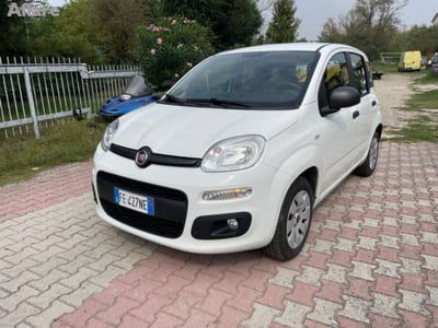 Fiat Panda 1.2 Easy usata