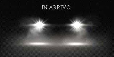 Lancia Ypsilon 1.0 FireFly 5 porte S&S Hybrid Gold Plus usata