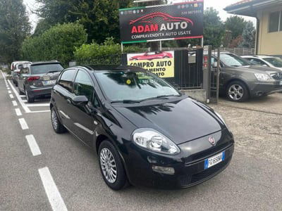 Fiat Punto 1.2 8V 5 porte Lounge usata