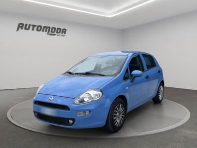 Fiat Punto 1.3 MJT II S&S 95 CV 5 porte Easy usata