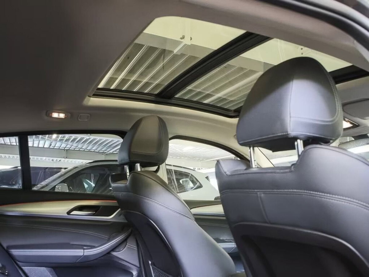 BMW X4 xDrive20i xLine (8)
