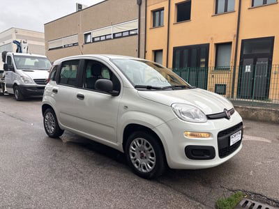 Fiat Panda 1.2 EasyPower Easy usata