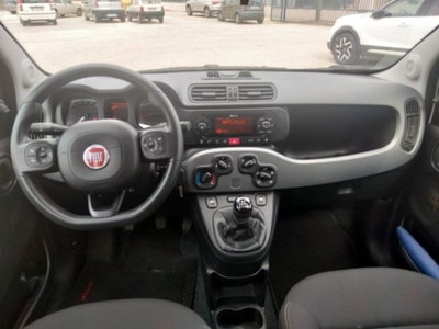 Fiat Panda Cross 1.0 firefly hybrid Cross s&s 70cv 5p.ti (5)