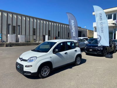 Fiat Panda 1.0 firefly hybrid s&s 70cv 5p.ti usata