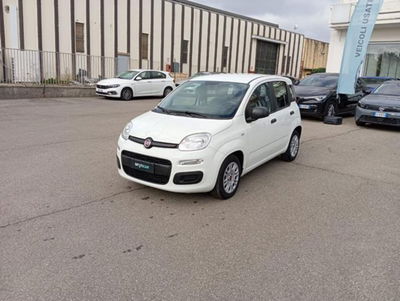 Fiat Panda 1.0 firefly hybrid s&s 70cv 5p.ti usata