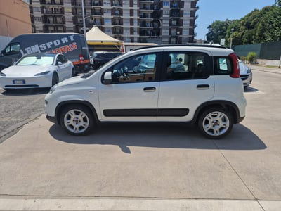 Fiat Panda 1.0 FireFly S&S Hybrid City Life usata