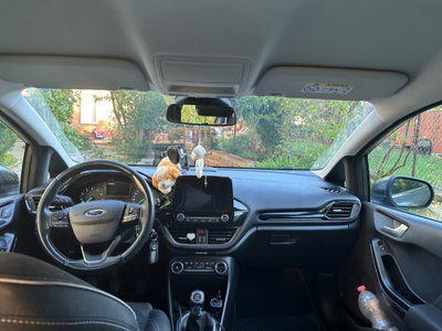 Ford Fiesta 1.1 75 CV 5 porte Plus (8)