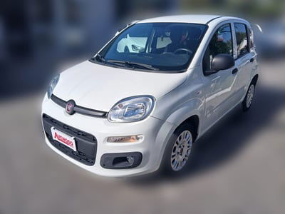 Fiat Panda 1.3 MJT 80 CV S&S Lounge usata