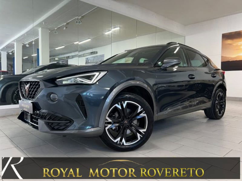 Cupra Formentor Formentor 2.0 tdi 4drive 150cv dsg