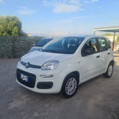 Fiat Panda 1.2 Easy usata