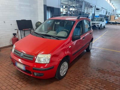 Fiat Panda 1.2 Dynamic usata