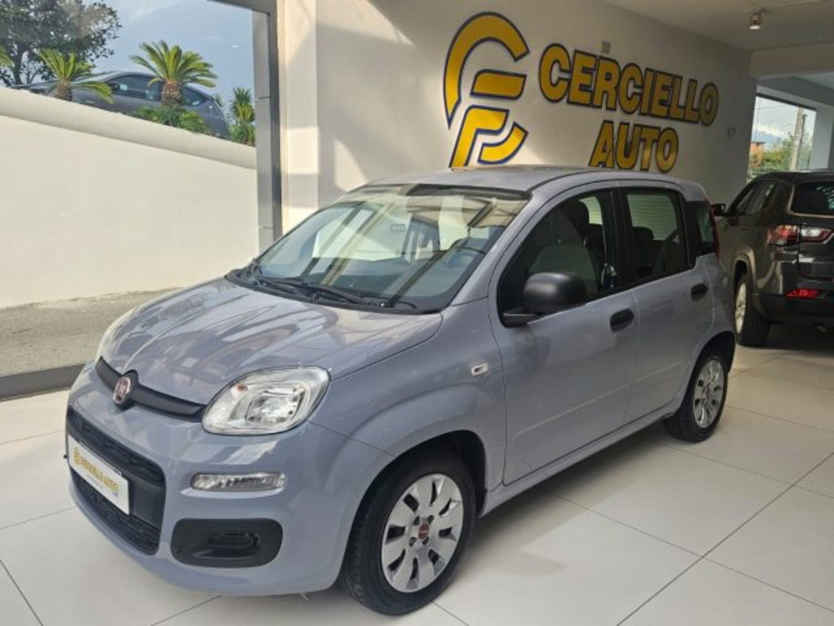 Fiat Panda 1.0 firefly hybrid s&s 70cv 5p.ti (2)
