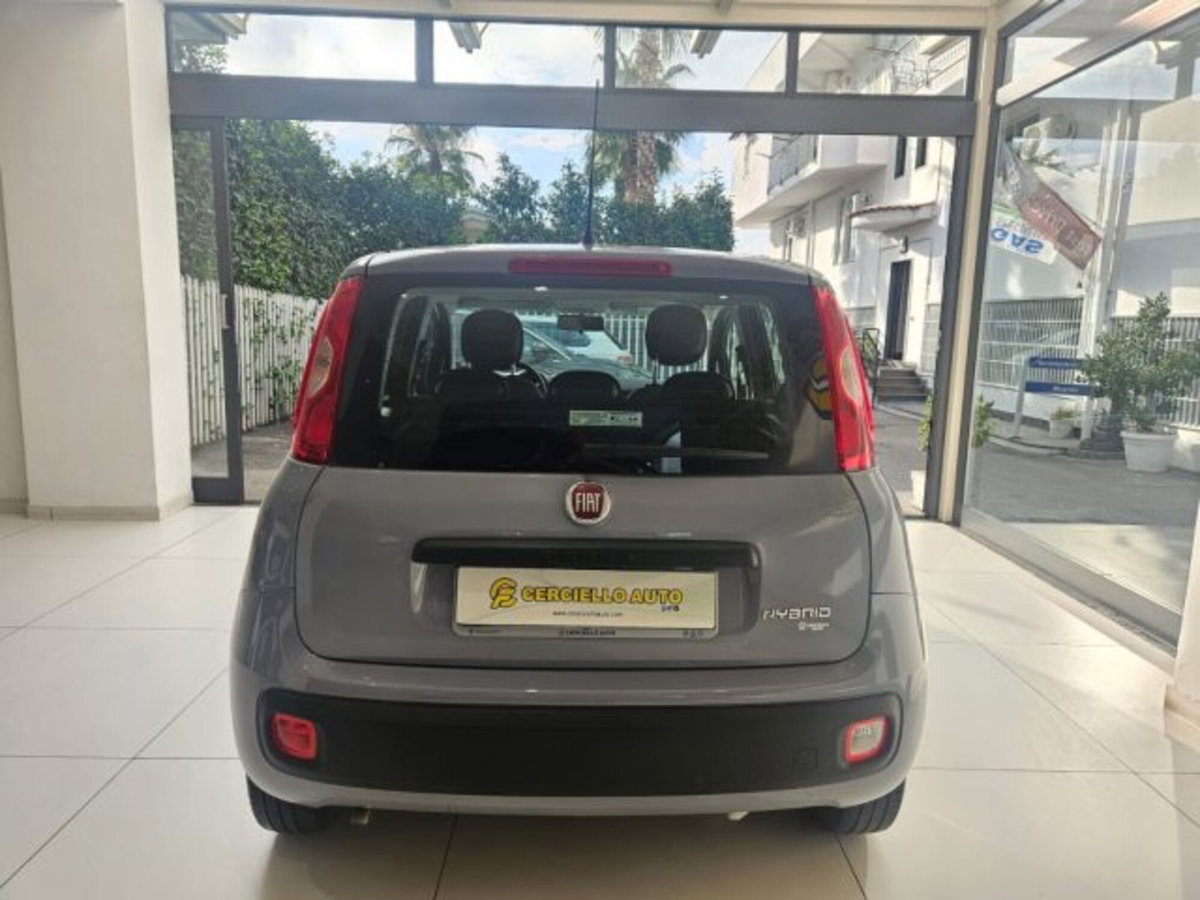 Fiat Panda 1.0 firefly hybrid s&s 70cv 5p.ti (4)