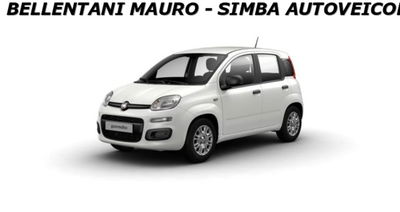 Fiat Panda 1.0 firefly hybrid Icon s&s 70cv nuova