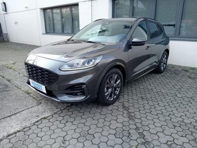 Ford Kuga 2.0 EcoBlue 120 CV aut. 2WD ST-Line X usata
