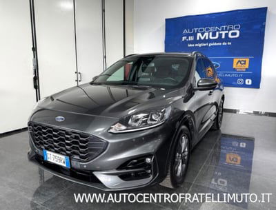 Ford Kuga 2.0 EcoBlue 120 CV aut. 2WD ST-Line X usata