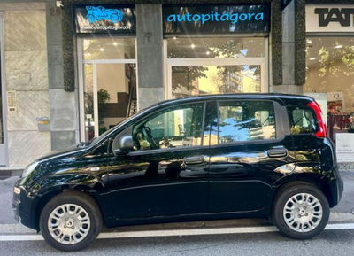 Fiat Panda 1.0 firefly hybrid s&s 70cv nuova