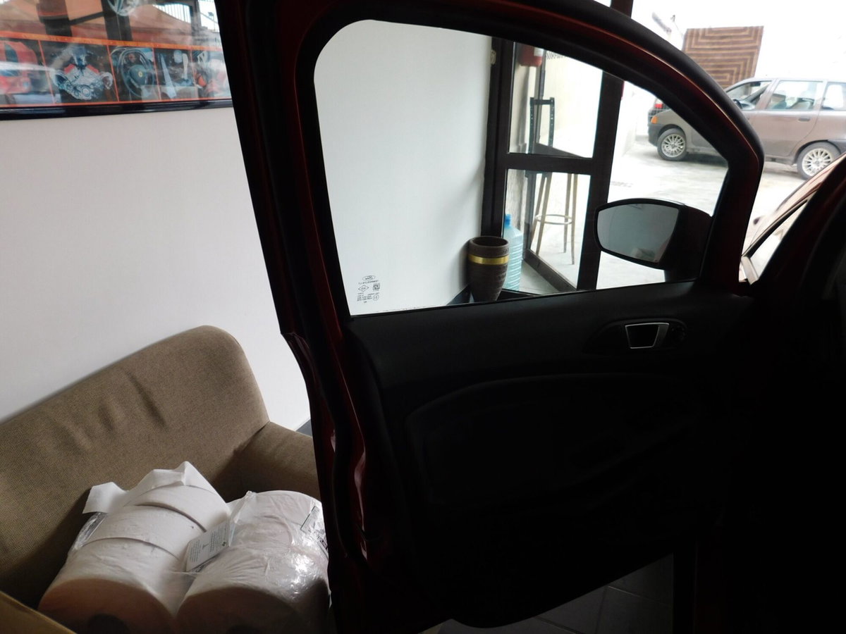 Ford EcoSport 1.0 EcoBoost 125 CV (11)
