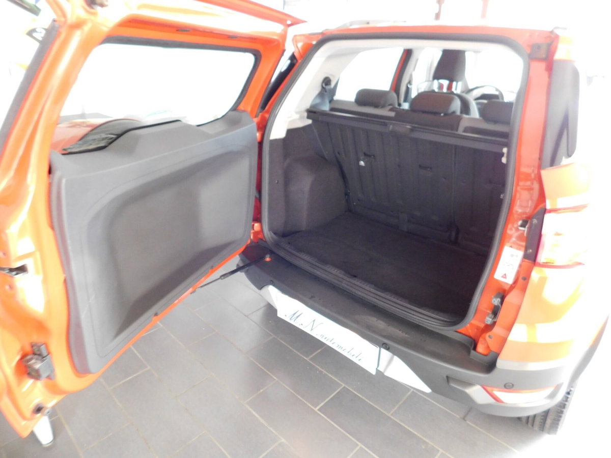 Ford EcoSport 1.0 EcoBoost 125 CV (9)