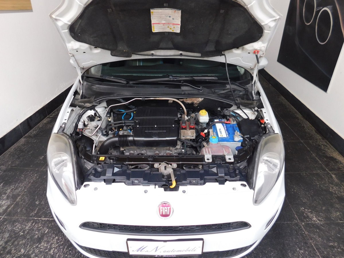 Fiat Punto Evo 1.2 5 porte S&S MyLife (11)