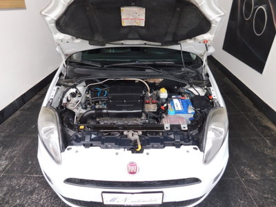 Fiat Punto Evo 1.2 5 porte S&S MyLife (11)