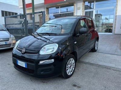 Fiat Panda 1.2 Lounge usata