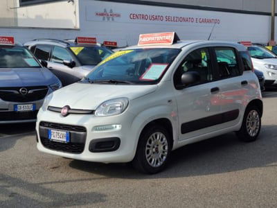 Fiat Panda 1.2 Easy usata