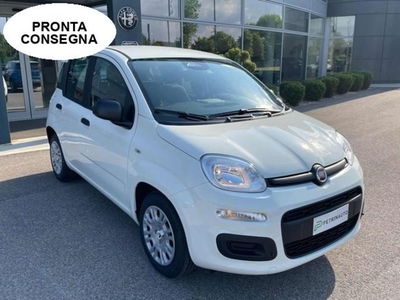 Fiat Panda 1.0 firefly hybrid s&s 70cv 5p.ti nuova