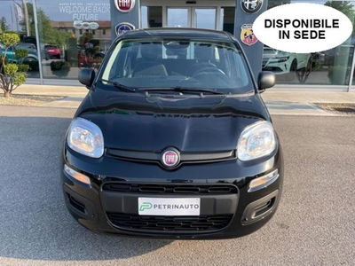 Fiat Panda 1.0 firefly hybrid s&s 70cv 5p.ti nuova