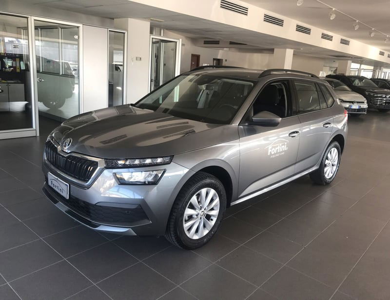 Skoda Kamiq 1.0 TSI 110 CV DSG Ambition